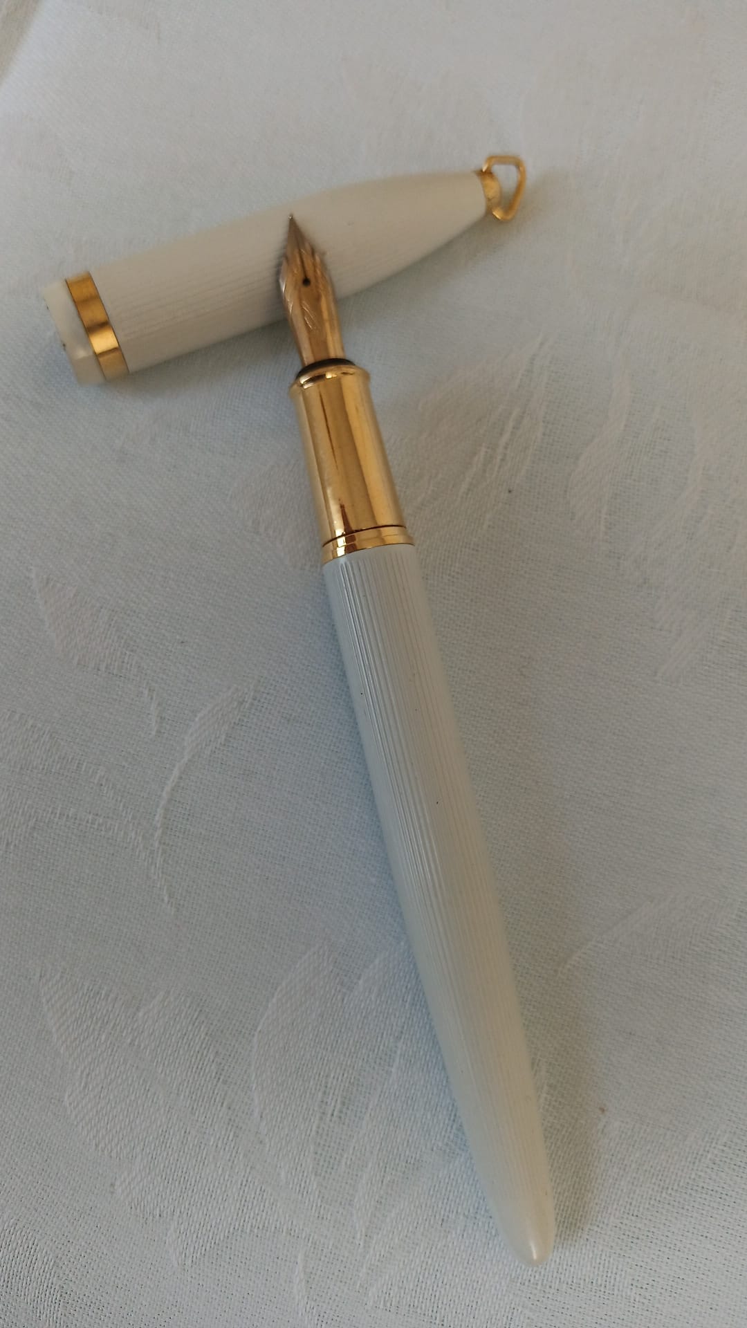 Penna Stilografica vintage da collezione