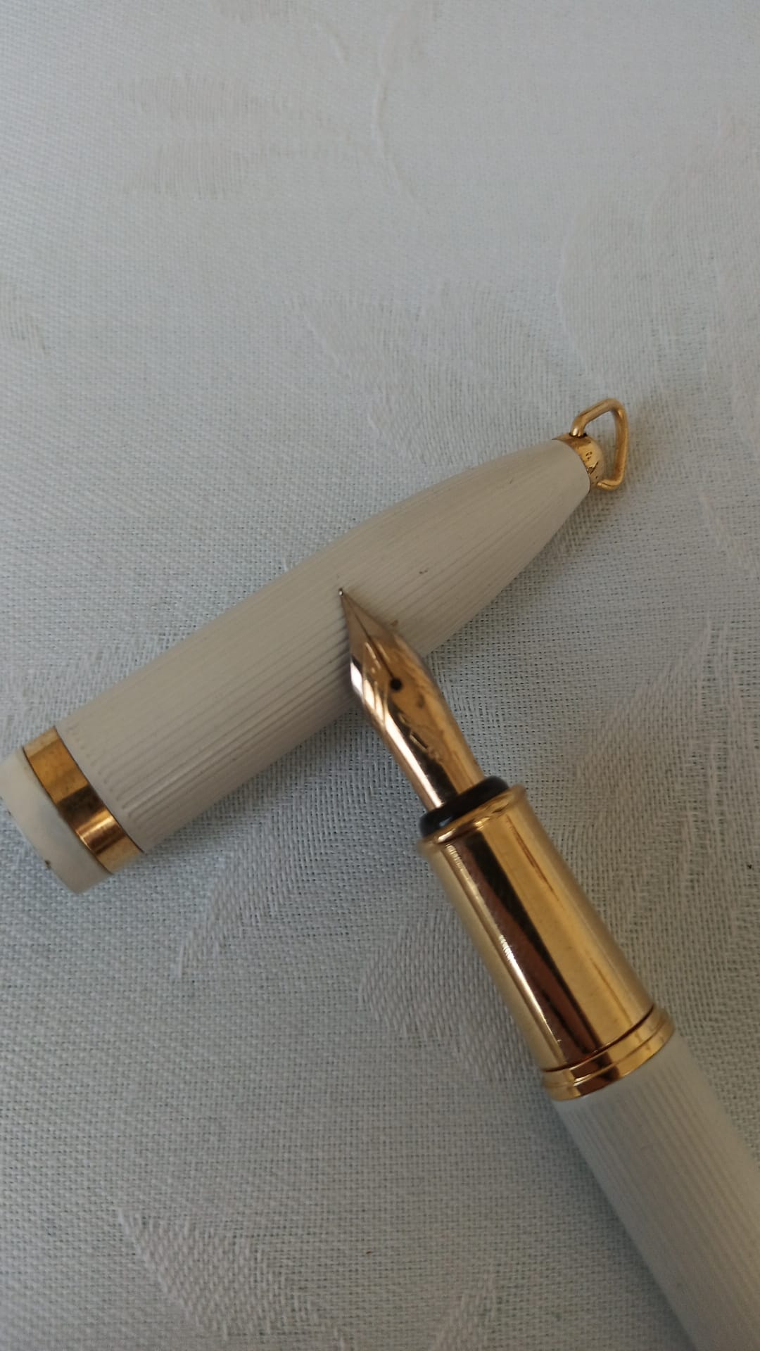 Penna Stilografica vintage da collezione